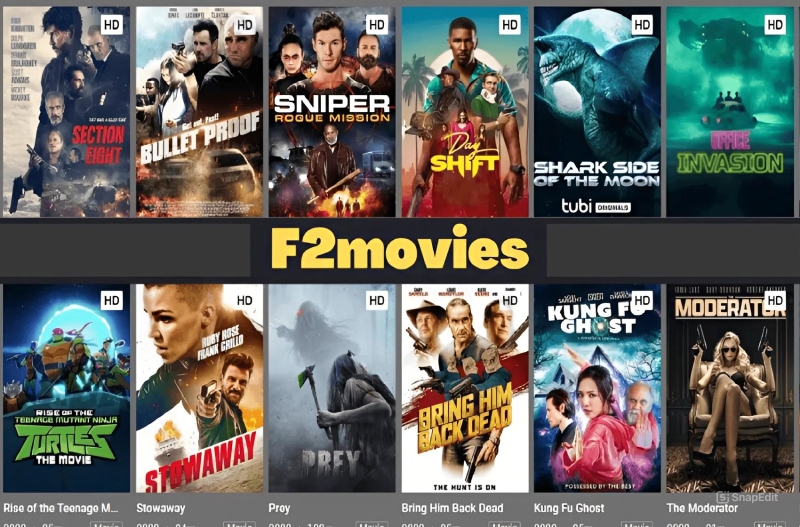 banner F2Movies